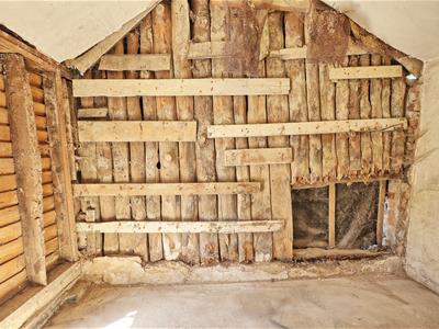 Picture 19